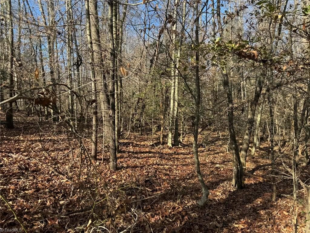 Single Family Residence at 001 Rock Creek Ch Road, North Wilkesboro NC 28659, North Wilkesboro, photo 23 of 48