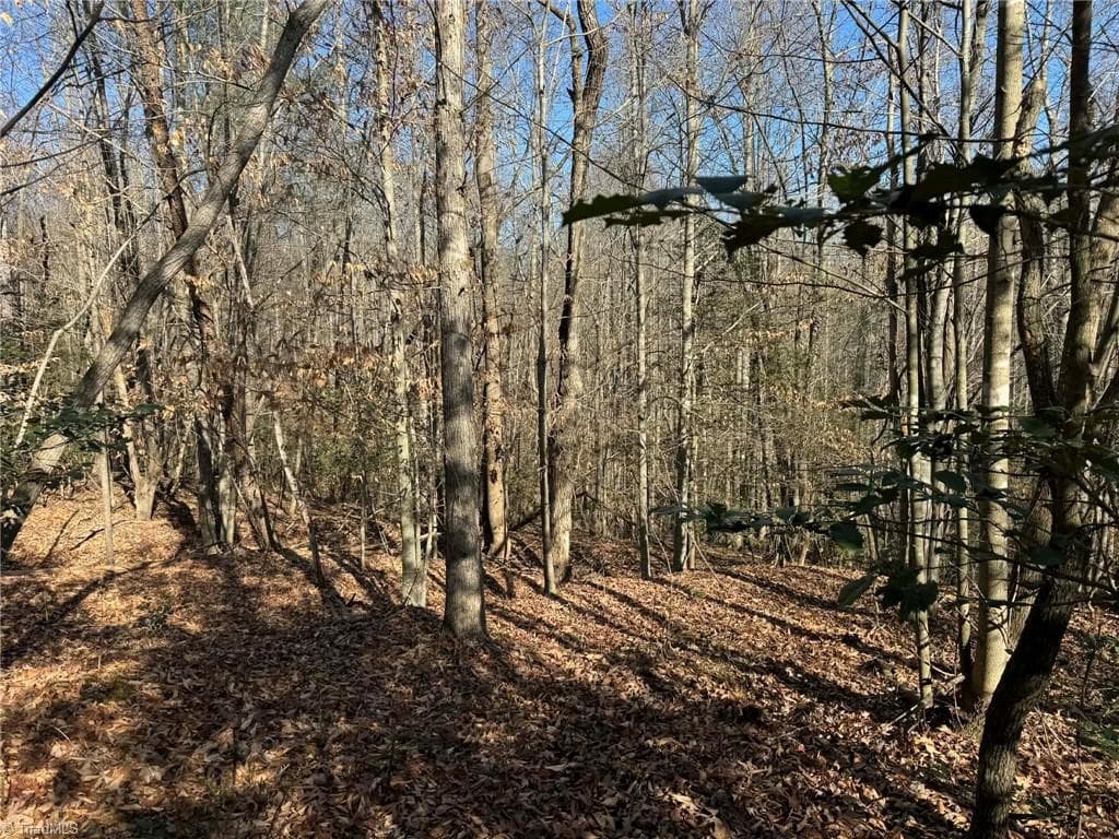 Single Family Residence at 001 Rock Creek Ch Road, North Wilkesboro NC 28659, North Wilkesboro, photo 22 of 48