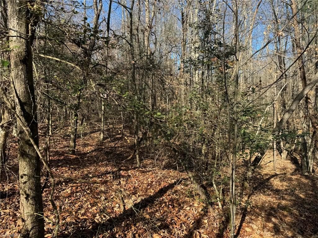 Single Family Residence at 001 Rock Creek Ch Road, North Wilkesboro NC 28659, North Wilkesboro, photo 21 of 48