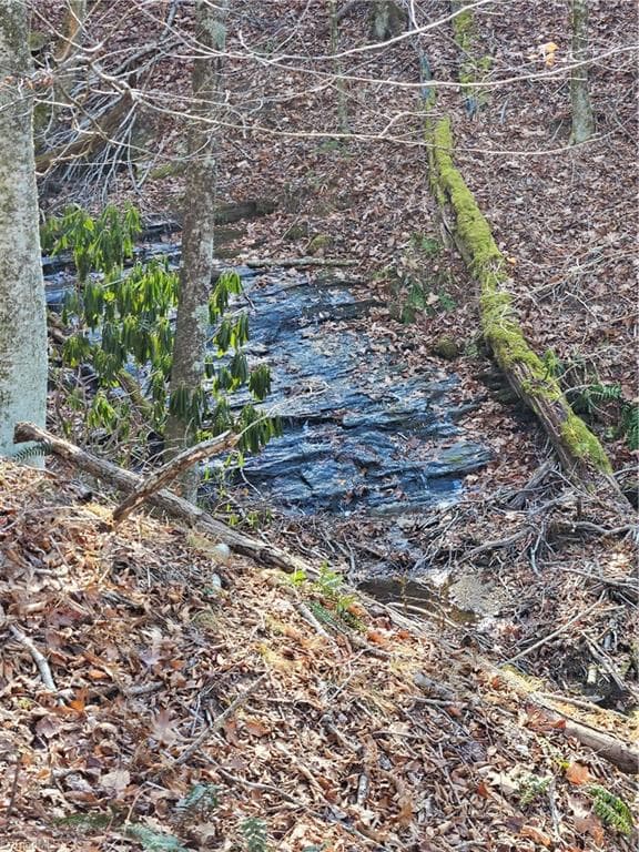 Stick/Site Built at 339 Stillhouse Branch Road, Laurel Springs NC 28644, photo 46 of 50