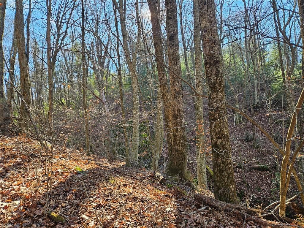 Stick/Site Built at 339 Stillhouse Branch Road, Laurel Springs NC 28644, photo 48 of 50