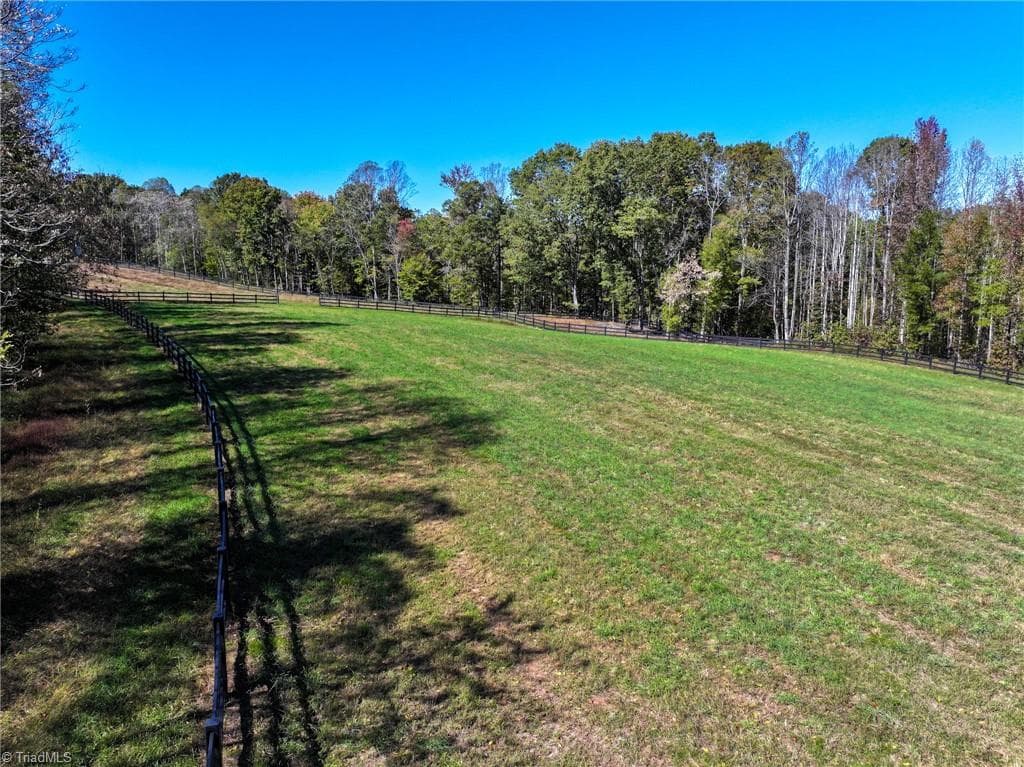 Agriculture at 979 Perkinson Road, Ruffin NC 27326, photo 16 of 47