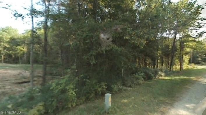 Unimproved Land at 00 Red Fern Lane, Mocksville NC 27028, photo 2 of 5