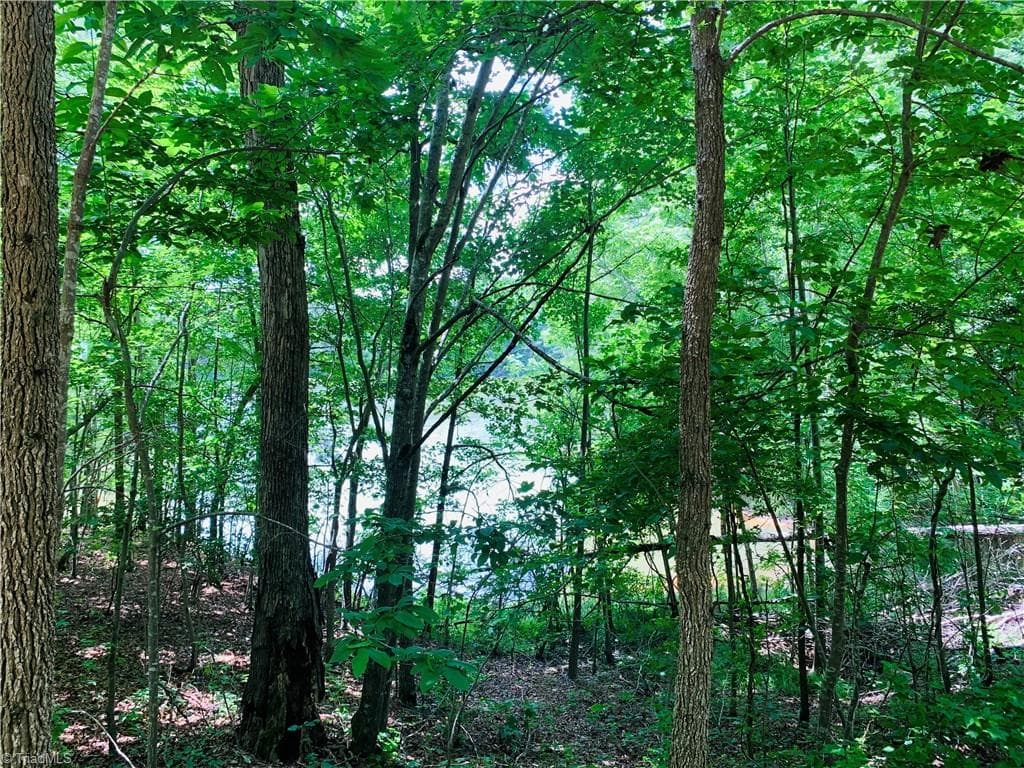 Unimproved Land at 141/142 Western Trail, Carthage NC 28327, Carthage, photo 6 of 18