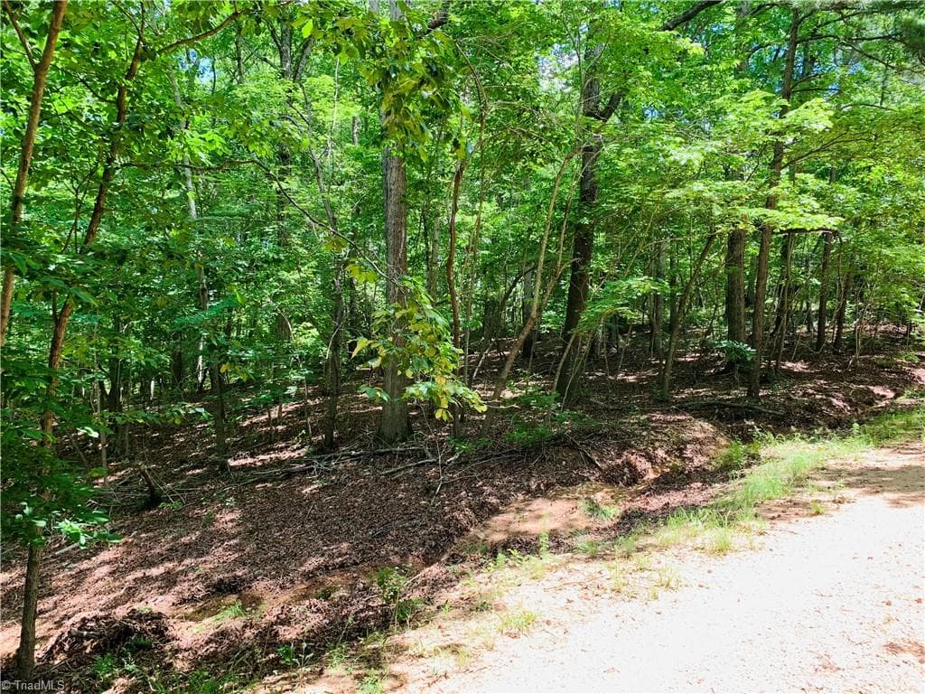 Unimproved Land at 141/142 Western Trail, Carthage NC 28327, Carthage, photo 7 of 18