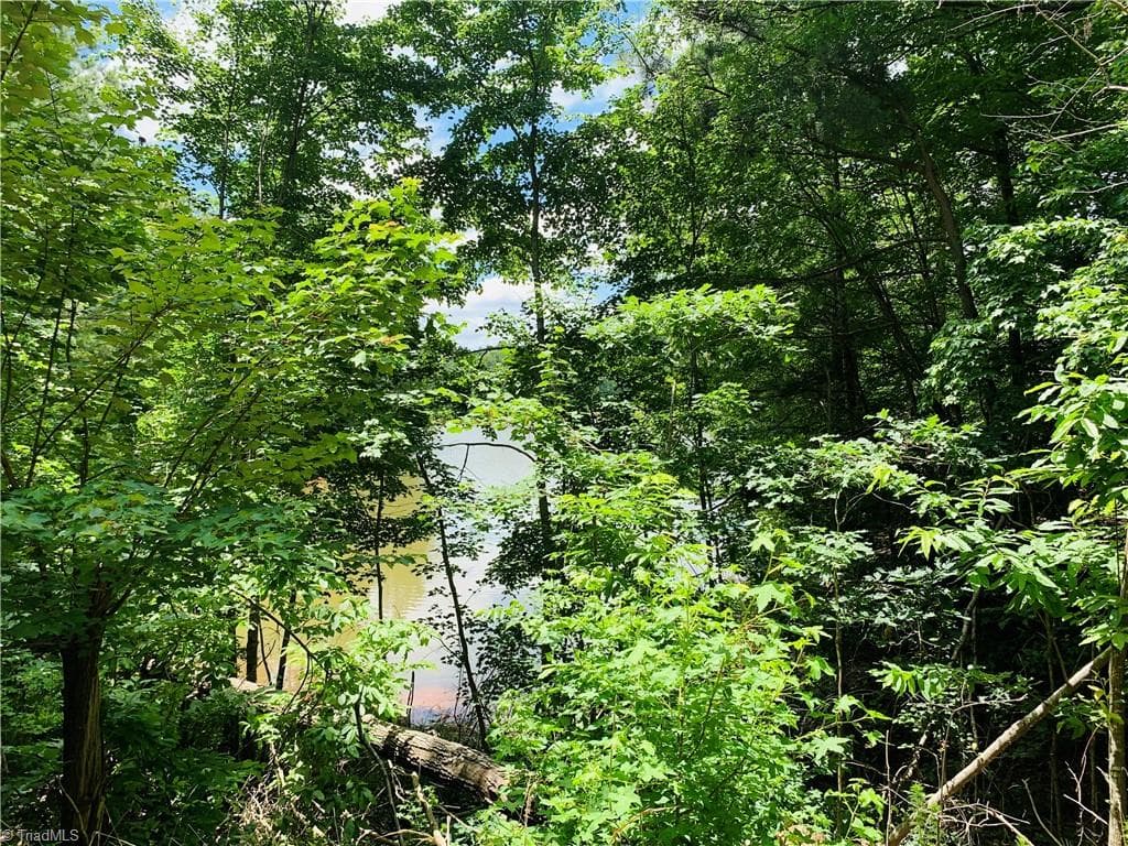 Unimproved Land at 141/142 Western Trail, Carthage NC 28327, Carthage, photo 3 of 18