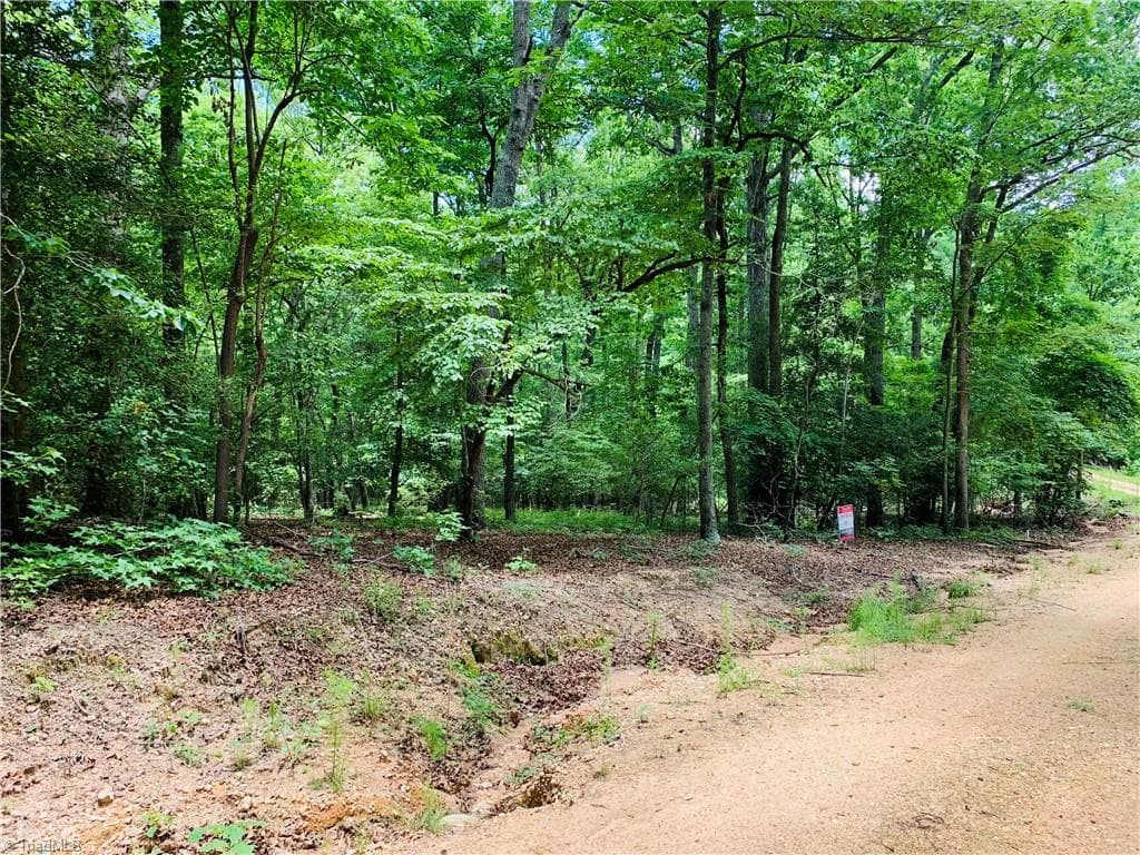 Unimproved Land at 141/142 Western Trail, Carthage NC 28327, Carthage, photo 5 of 18