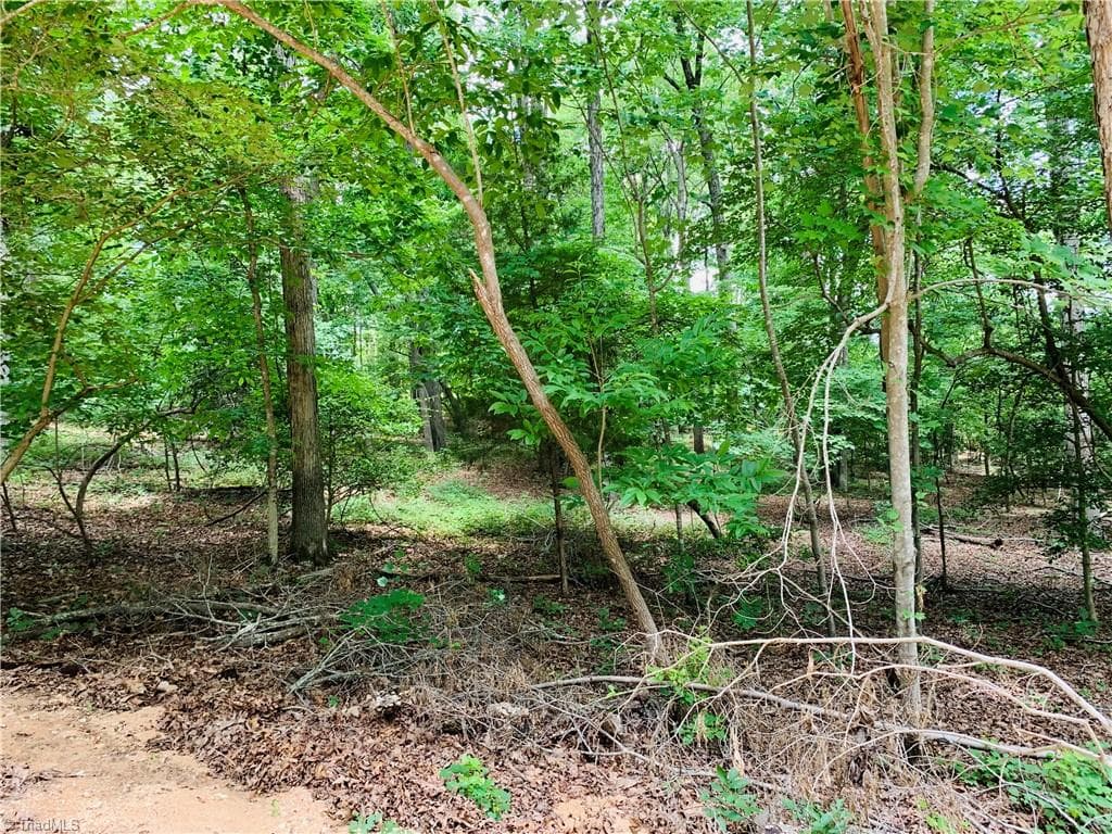 Unimproved Land at 141/142 Western Trail, Carthage NC 28327, Carthage, photo 4 of 18