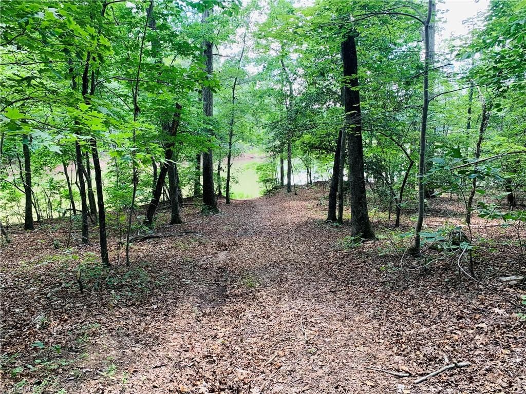 Unimproved Land at 141/142 Western Trail, Carthage NC 28327, Carthage, photo 8 of 18