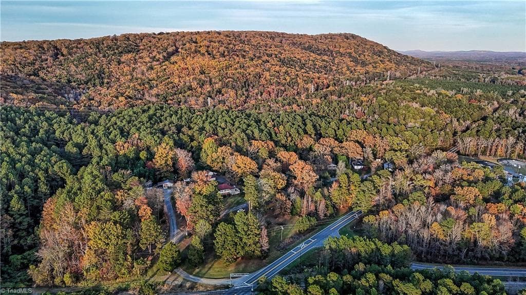 Unimproved Land at 0 Bringle Ferry Road, Denton NC 27239, photo 2 of 7