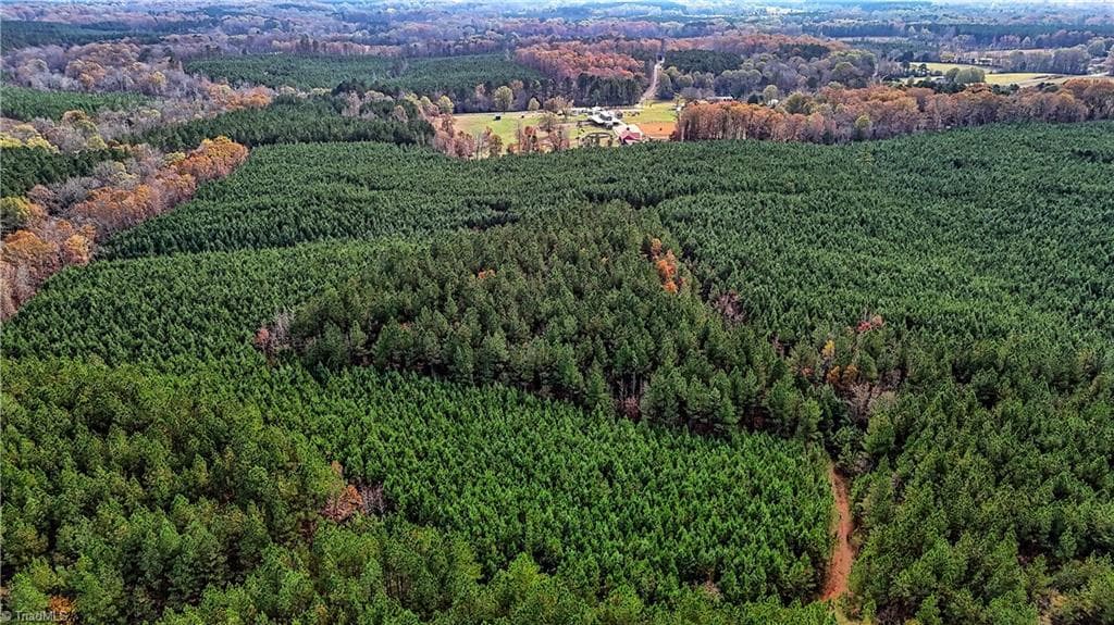 Unimproved Land at 02 Highway 49, Richfield NC 28137, photo 8 of 9
