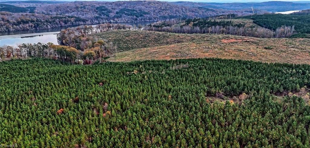 Unimproved Land at 0 Stokes Ferry Road, Richfield NC 28137, Richfield, photo 10 of 11