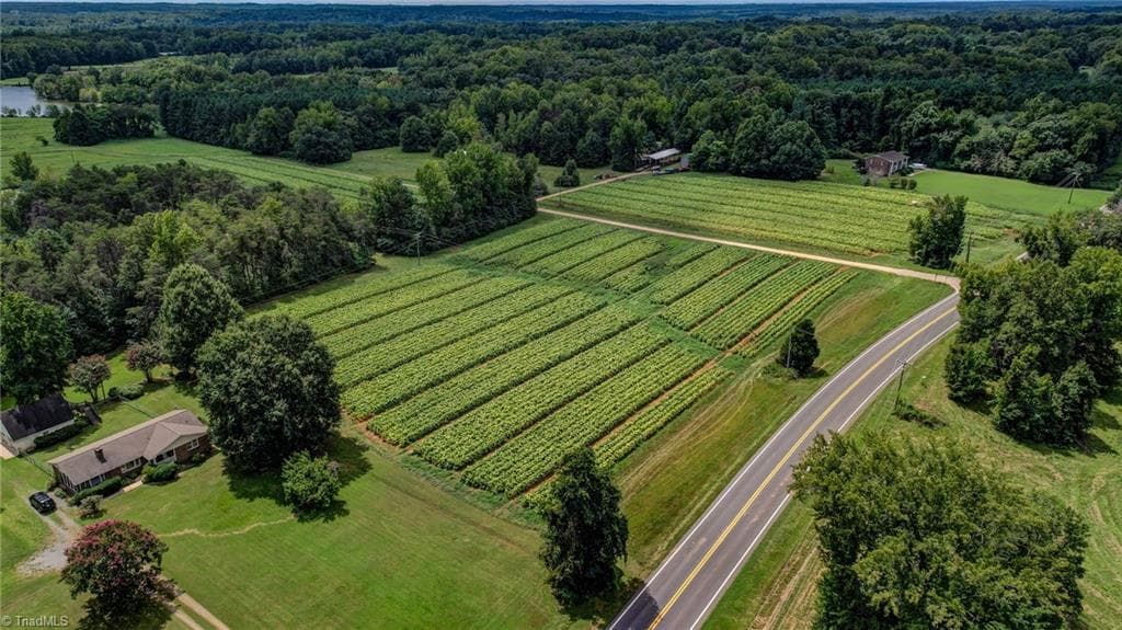 Agriculture at 00 Ol Road, Reidsville NC 27320, photo 6 of 27