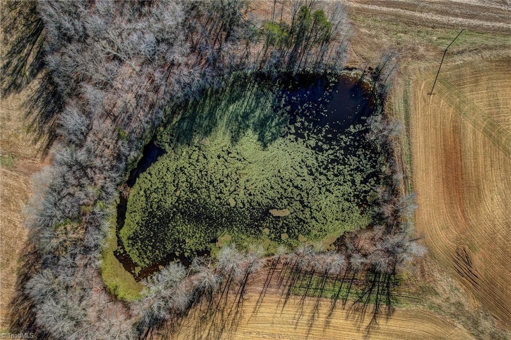 Agriculture at 00 Ol Road, Reidsville NC 27320, photo 13 of 27