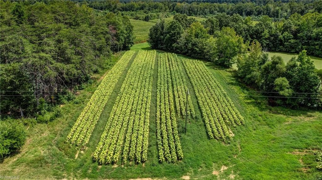 Agriculture at 00 Ol Road, Reidsville NC 27320, photo 16 of 27