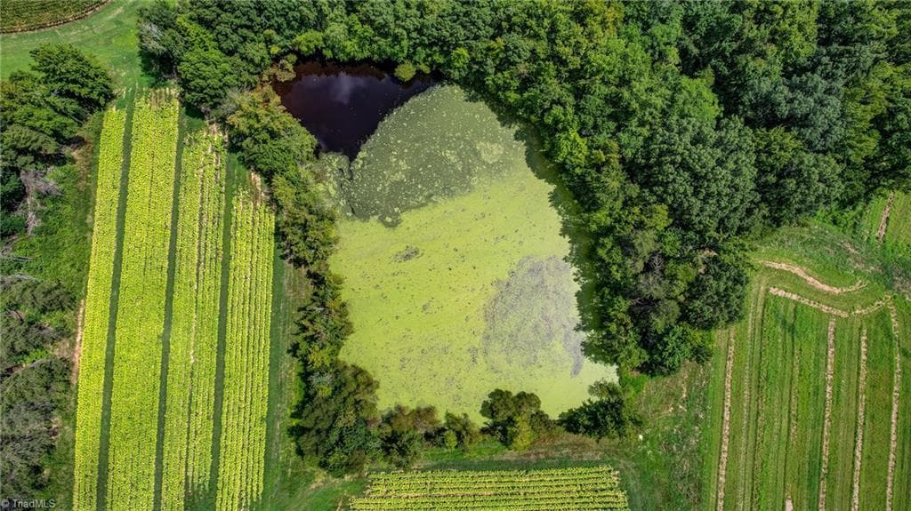 Agriculture at 00 Ol Road, Reidsville NC 27320, photo 12 of 27