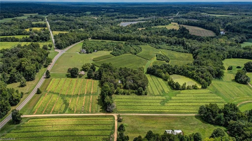 Agriculture at 00 Ol Road, Reidsville NC 27320, photo 26 of 27