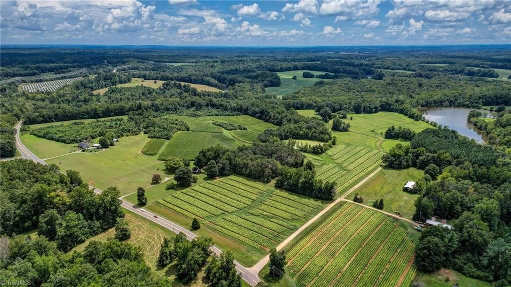 Agriculture at 00 Ol Road, Reidsville NC 27320, photo 3 of 27
