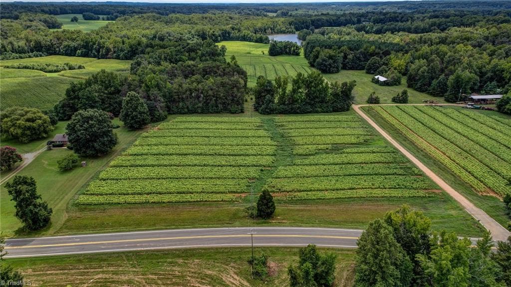 Agriculture at 00 Ol Road, Reidsville NC 27320, photo 5 of 27