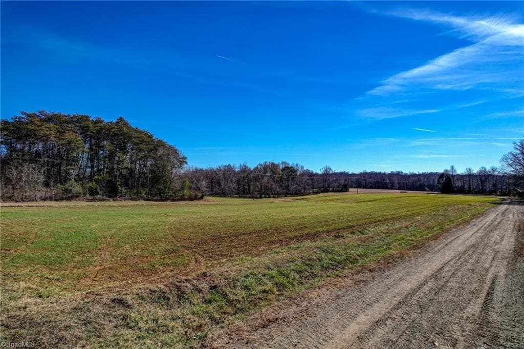 Agriculture at 00 Ol Road, Reidsville NC 27320, photo 9 of 27