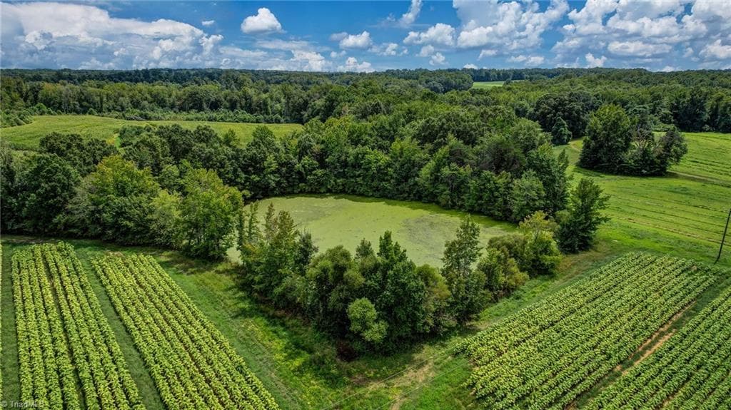 Agriculture at 00 Ol Road, Reidsville NC 27320, photo 10 of 27