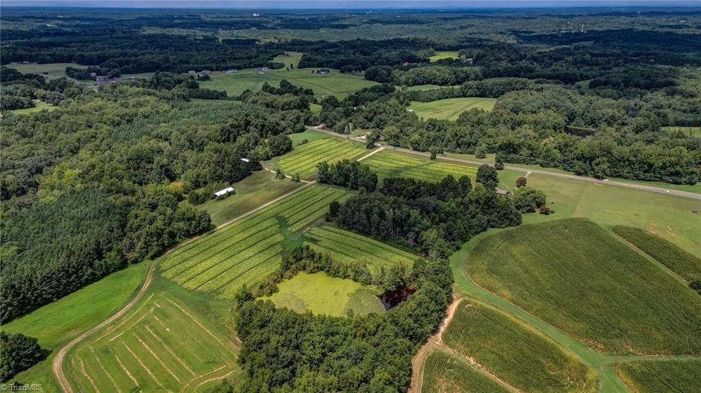 Agriculture at 00 Ol Road, Reidsville NC 27320, photo 15 of 27