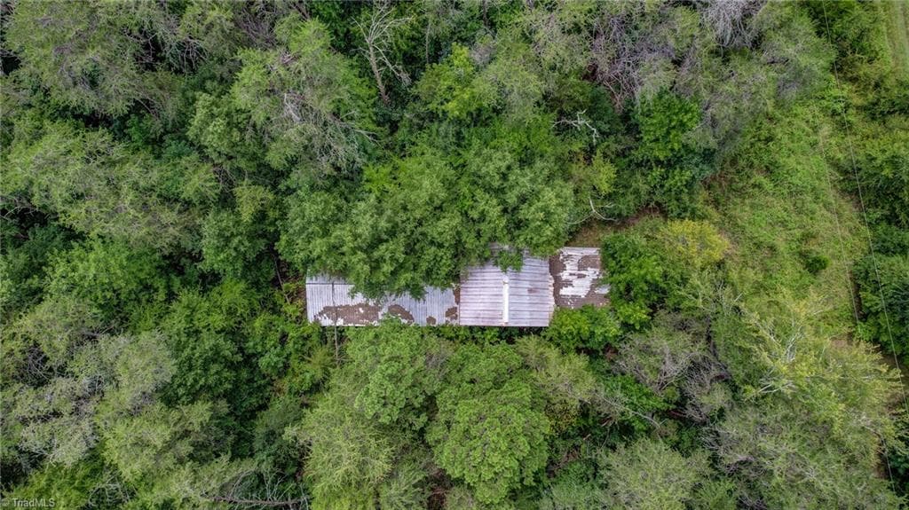 Agriculture at 00 Ol Road, Reidsville NC 27320, photo 19 of 27