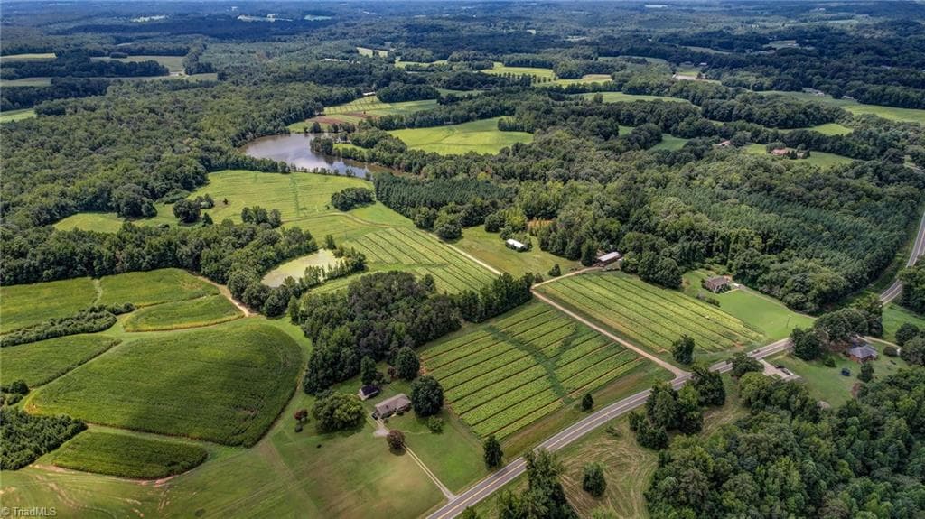 Agriculture at 00 Ol Road, Reidsville NC 27320, photo 4 of 27