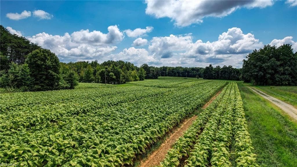 Agriculture at 00 Ol Road, Reidsville NC 27320, photo 8 of 27