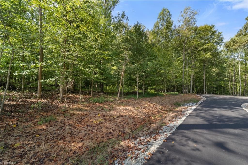Single Family Residence at 8126 Hilltop Farms Drive, Lewisville NC 27023, photo 3 of 21