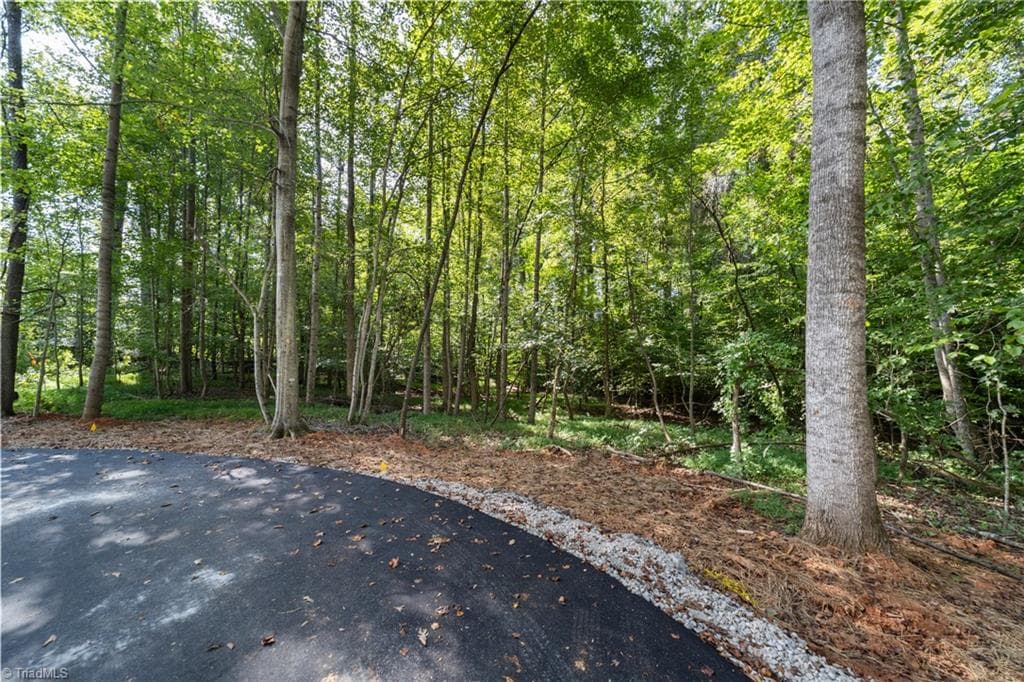 Single Family Residence at 8126 Hilltop Farms Drive, Lewisville NC 27023, photo 5 of 21