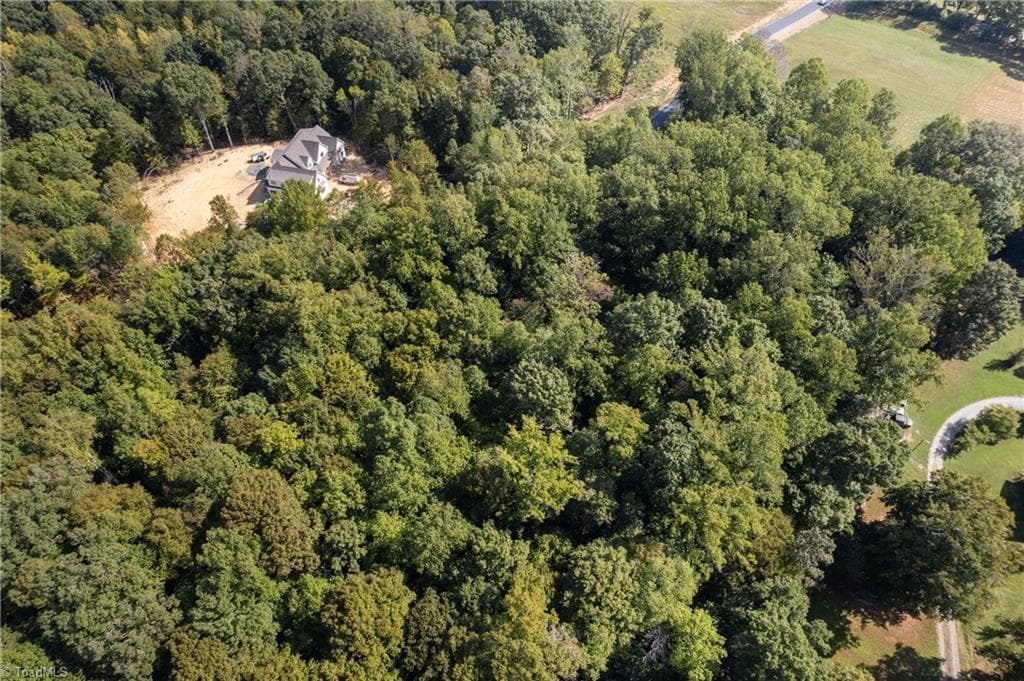 Single Family Residence at 8126 Hilltop Farms Drive, Lewisville NC 27023, photo 11 of 21