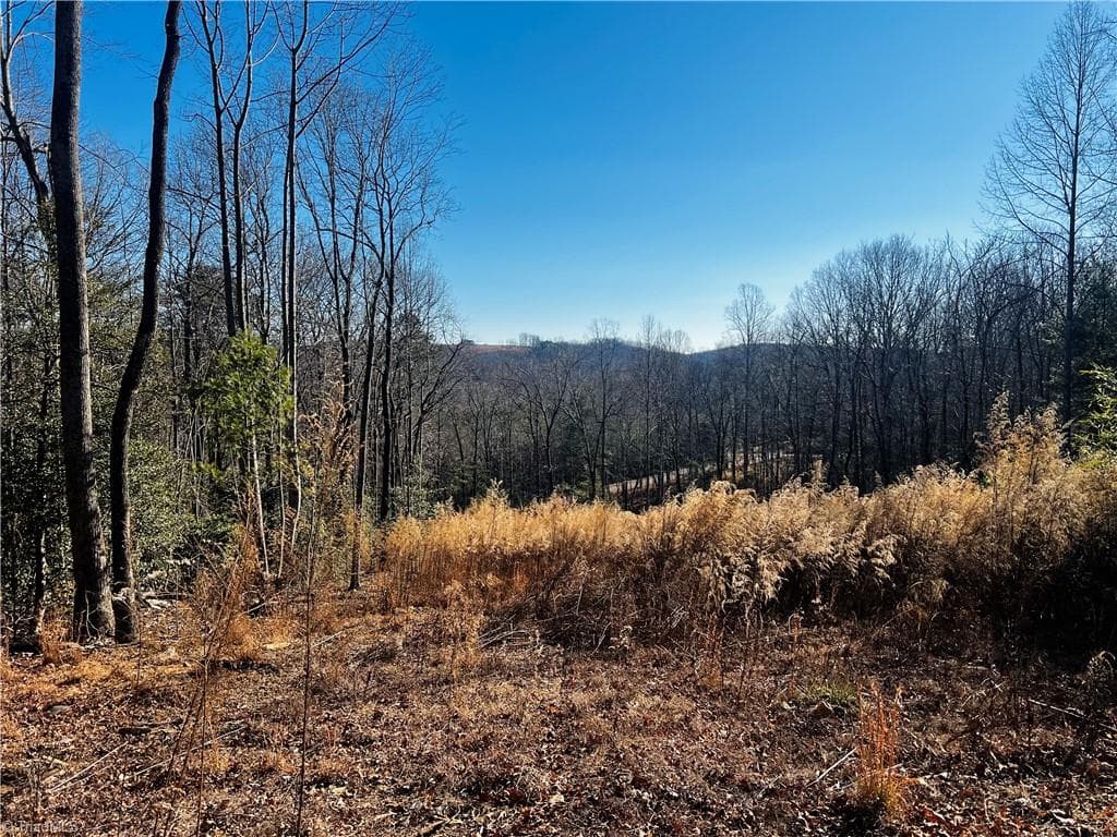 TBD Holly Springs Road, Mount Airy NC 27030