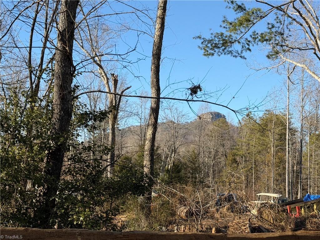 538 & 545 Culler Road, Pinnacle NC 27043