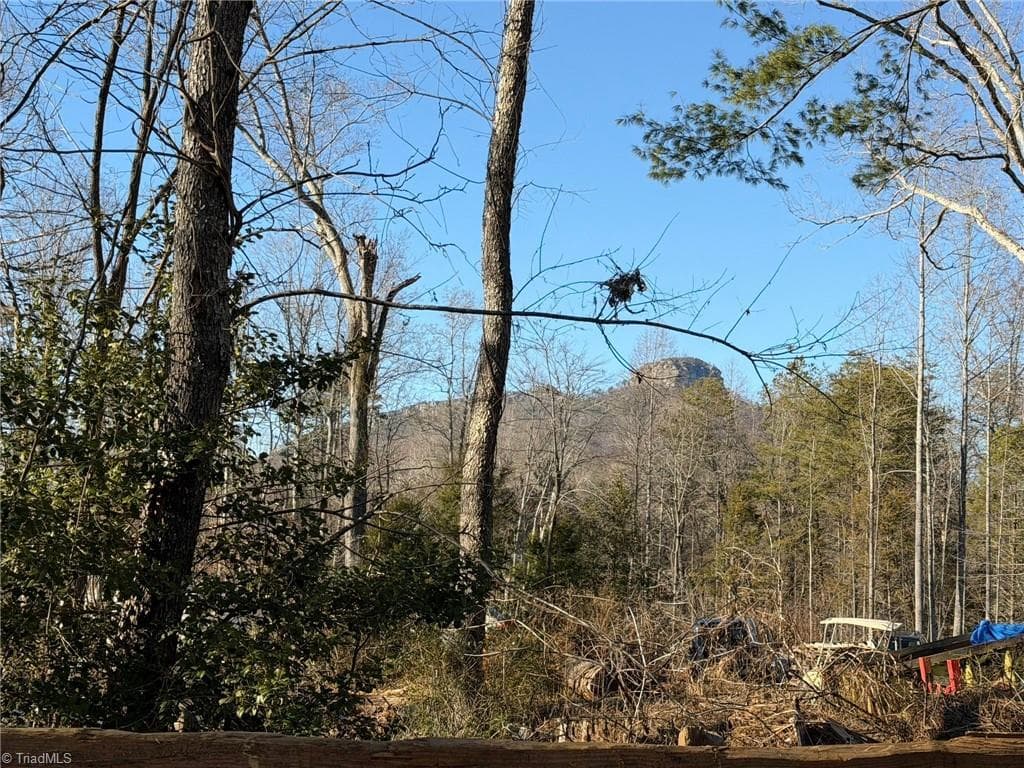538 & 545 Culler Road, Pinnacle NC 27043