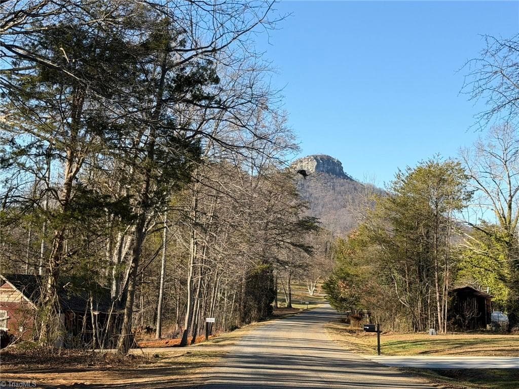 Single Family Residence at 538 & 545 Culler Road, Pinnacle NC 27043, photo 10 of 12