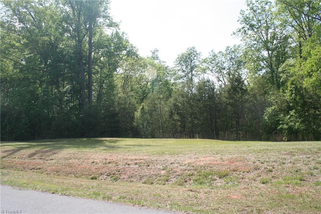 Single Family Residence at 2 Nauvoo Ridge Drive, Tobaccoville NC 27050, photo 4 of 4