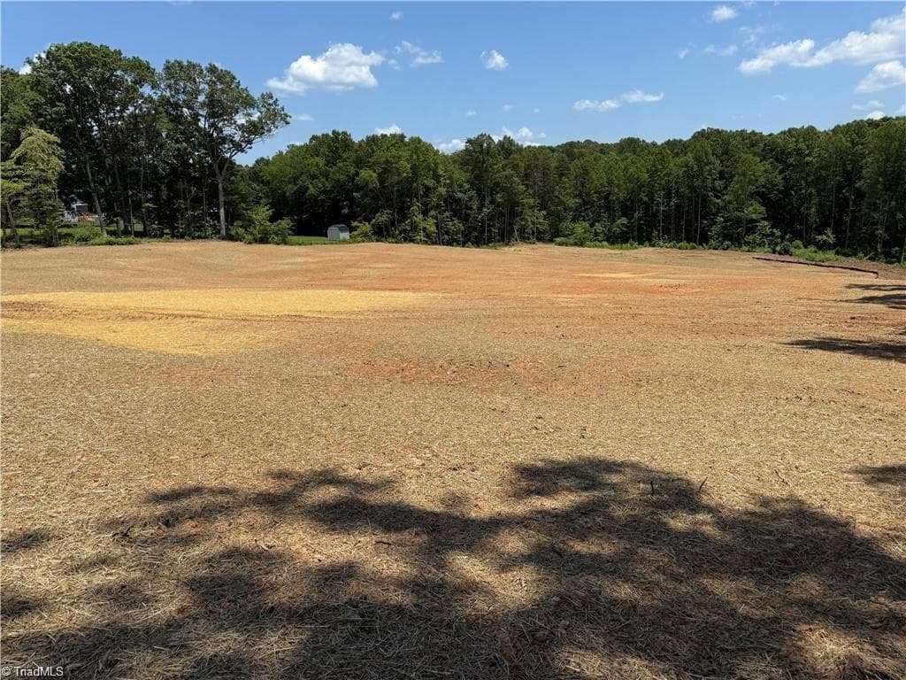 Single Family Residence at Lot 10 Brown Road, King NC 27021, photo 3 of 4
