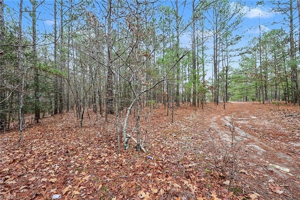 Single Family Residence at 00 Brookside Road, West End NC 27376, West End, photo 7 of 17