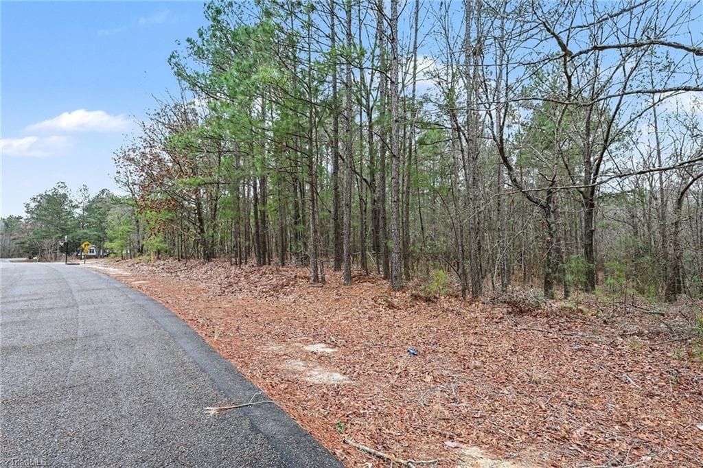 Single Family Residence at 00 Brookside Road, West End NC 27376, West End, photo 5 of 17