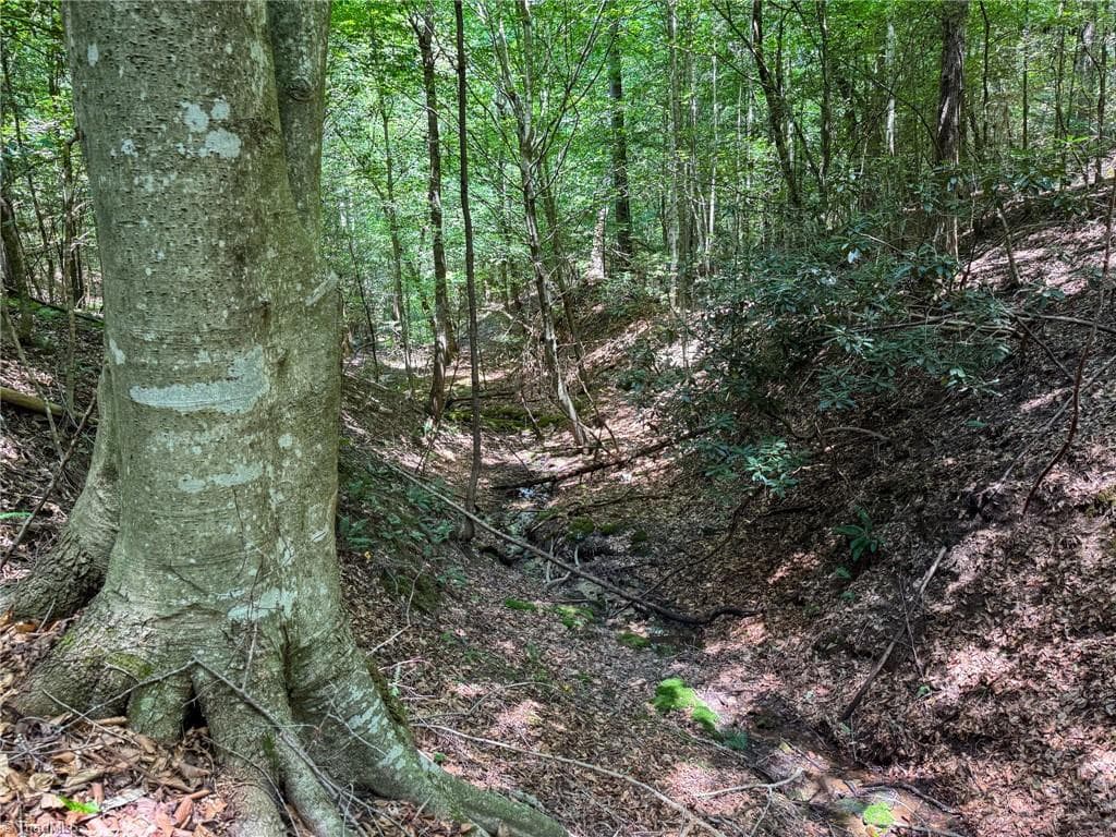 Unimproved Land at 0 Rainbow Trout Drive, Hays NC 28635, Hays, photo 23 of 44