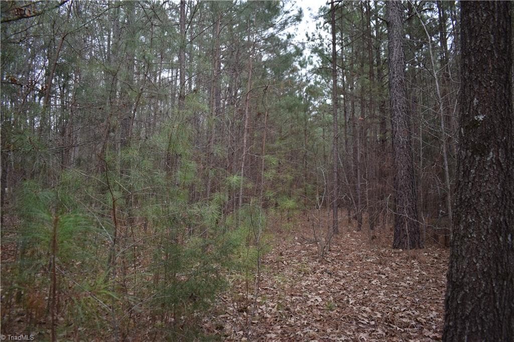 Unimproved Land at 257 Piney Grove Church Road, Siler City NC 27344, photo 13 of 19