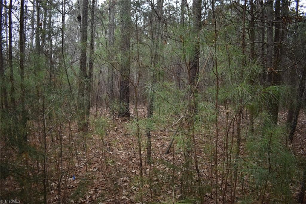 Unimproved Land at 257 Piney Grove Church Road, Siler City NC 27344, photo 5 of 19
