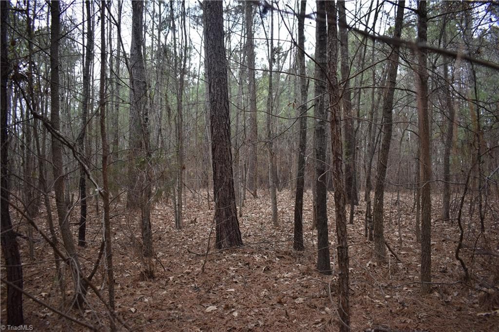 Unimproved Land at 257 Piney Grove Church Road, Siler City NC 27344, photo 14 of 19
