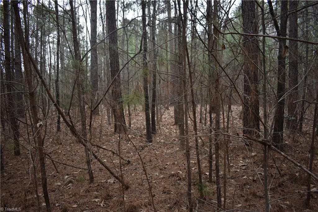 Unimproved Land at 257 Piney Grove Church Road, Siler City NC 27344, photo 4 of 19