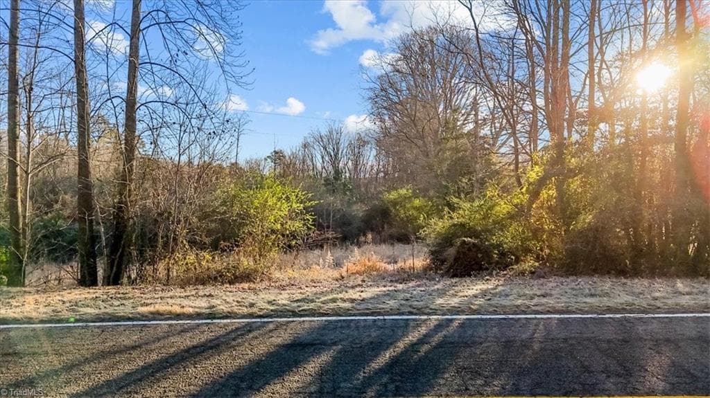 0 Willie Road, Seagrove NC 27341