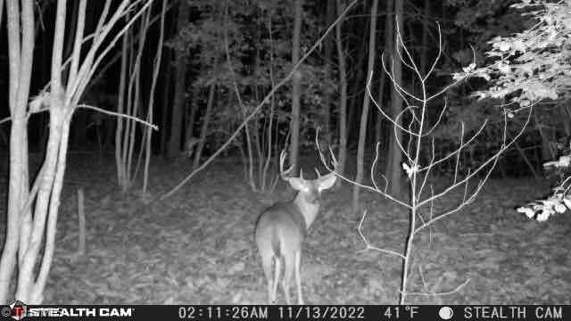 Unimproved Land at TBD Taylorsville Road, Granite Falls NC 28645, Granite Falls, photo 2 of 14