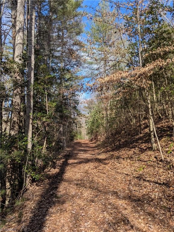 Unimproved Land at TBD Taylorsville Road, Granite Falls NC 28645, Granite Falls, photo 12 of 14