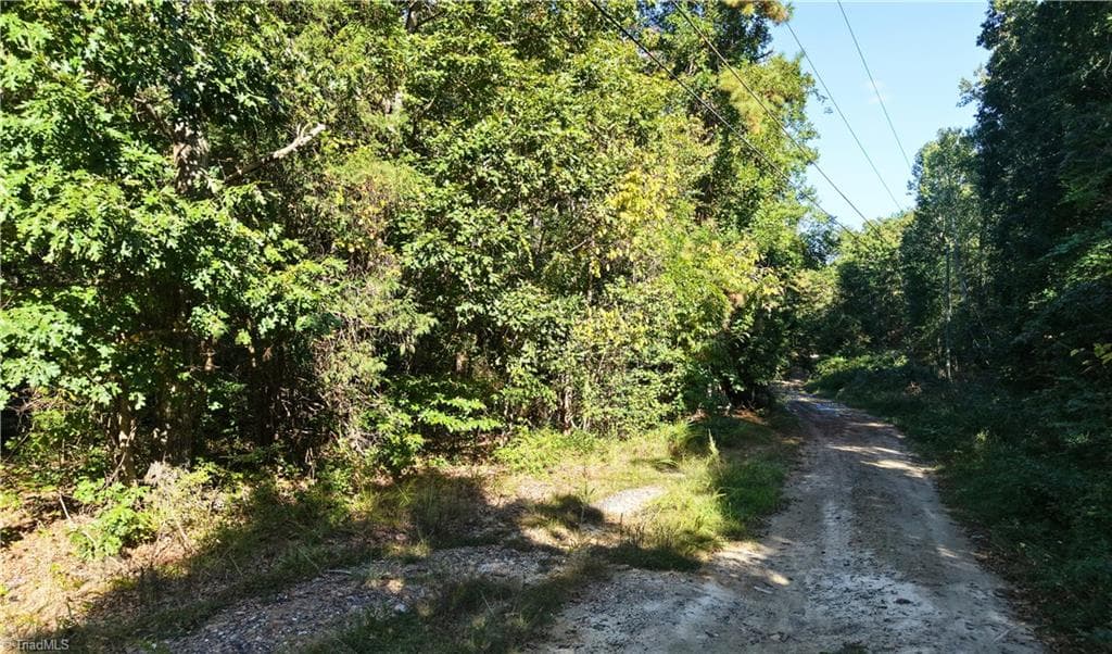 Unimproved Land at 00-00 Fourth Park Avenue, Randleman NC 27317, photo 11 of 18