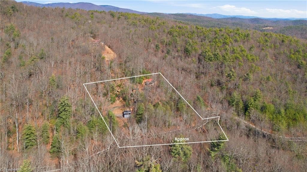 Remarks at 840 Summit Ridge Road, Purlear NC 28665, Purlear, photo 26 of 26